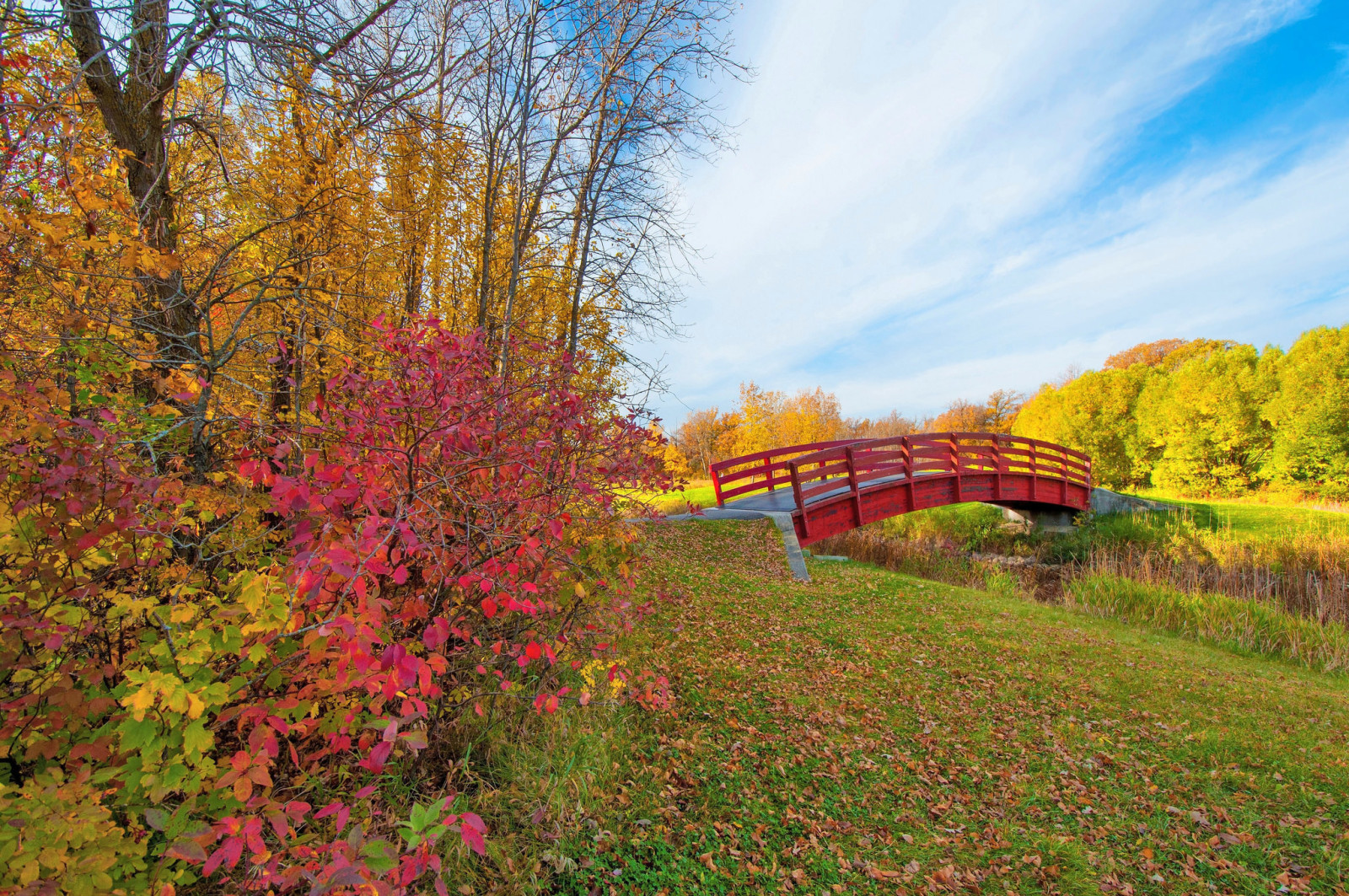 Herbst, Park, der Himmel, Bäume, Wolken, Blätter, Strom, die Brücke