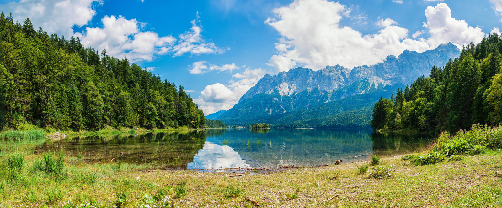 pădure, iarbă, cerul, lac, mal, reflecţie, copaci, nori