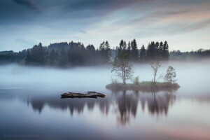 boats, forest, haze, lake, nature