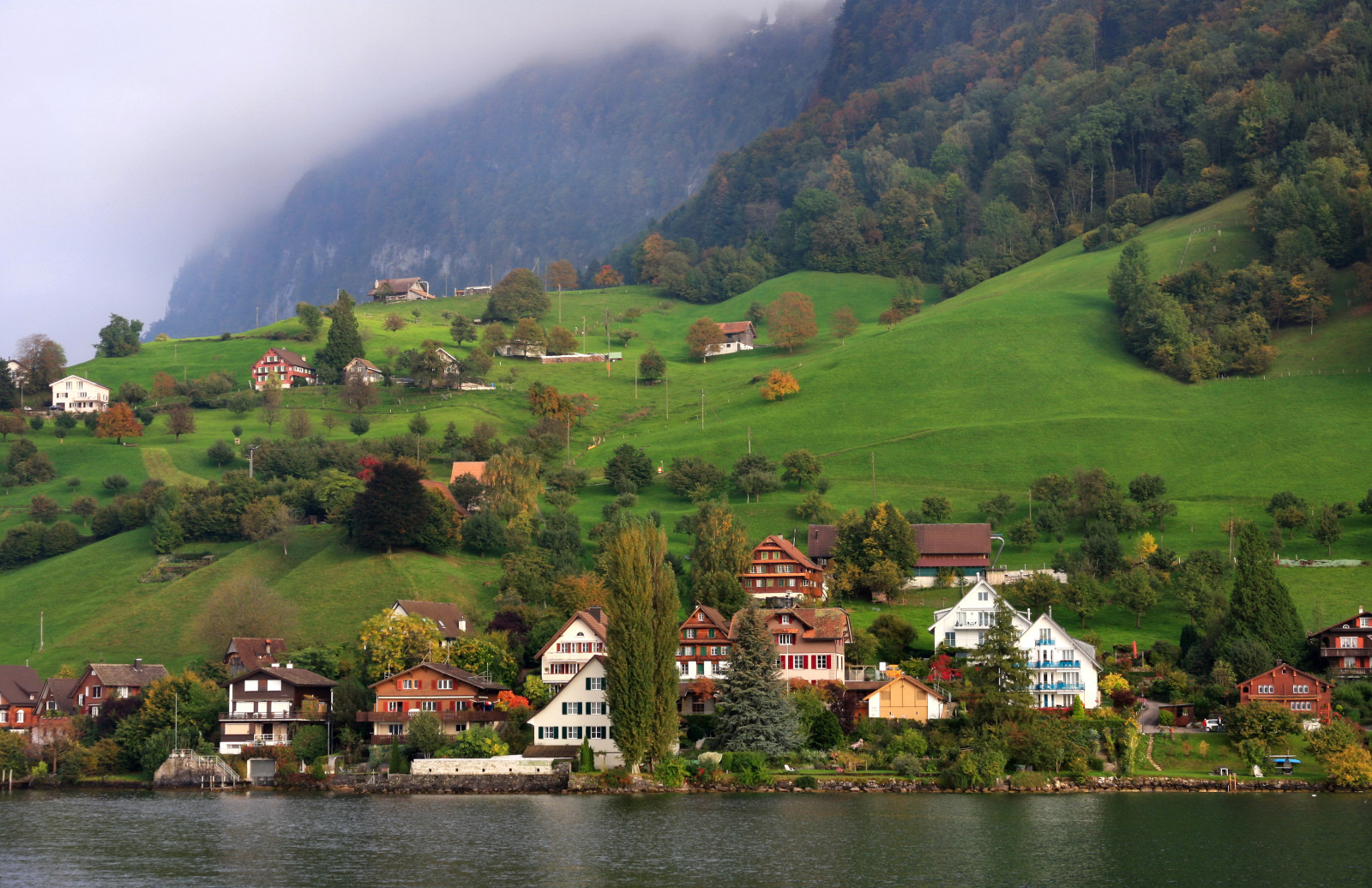 foresta, Svizzera, lago, riva, alberi, campo, montagne, casa