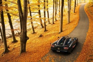 Agera, toamnă, fundal, hypercar, vedere din spate, supercar