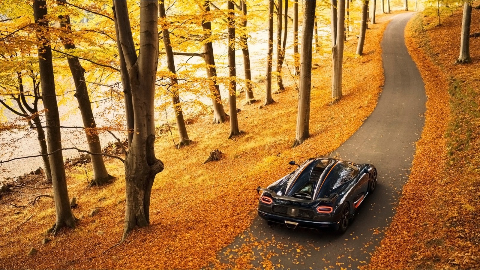 autunno, sfondo, supercar, retrovisore, Hypercar, Agera