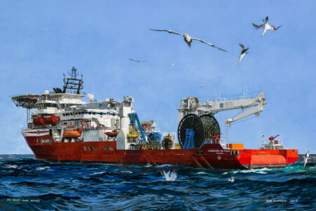 birds, Harkand Da Vinci, Marshall Islands, sea, the ship, the sky, used by divers