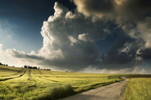 field, landscape, road, the sky