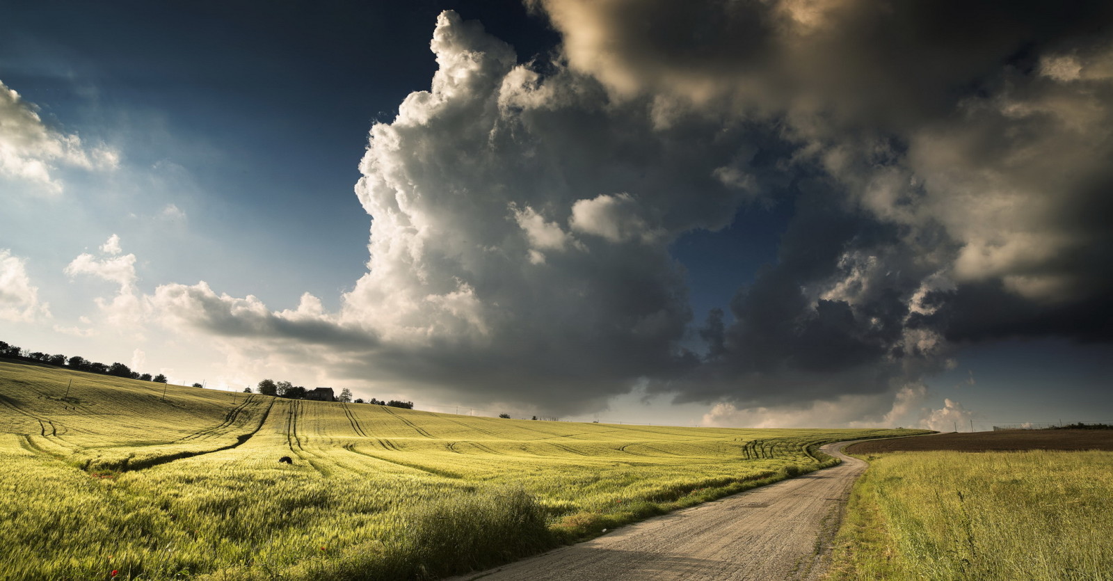 der Himmel, Landschaft, Straße, Feld