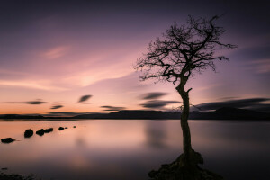 des nuages, Lac, montagnes, des pierres, le coucher du soleil, Le ciel, arbre