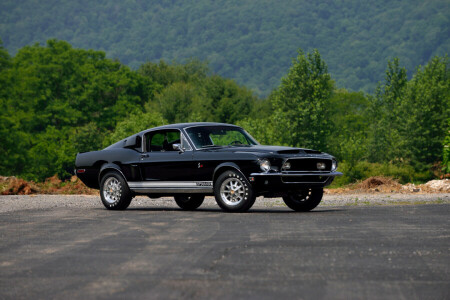 1968, doorwaadbare plaats, GT500, Shelby