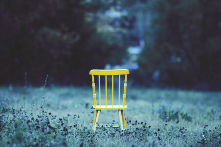 chaise, herbe, Cour