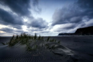 svart sand, Karekare Beach, Siste lys, New Zealand