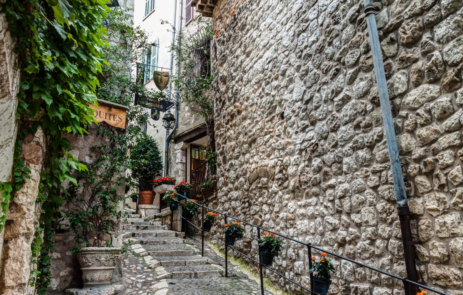 vägg, blommor, Frankrike, Cote D'azur, skede, Kafé, Saint-Paul-de-Vence