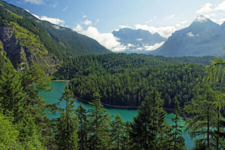 Austria, chmury, las, góry, rzeka, Tyrol, drzewa