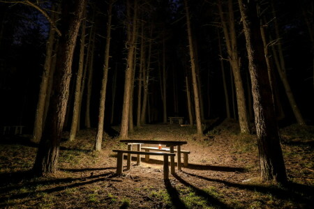 bench, candle, forest, night, table