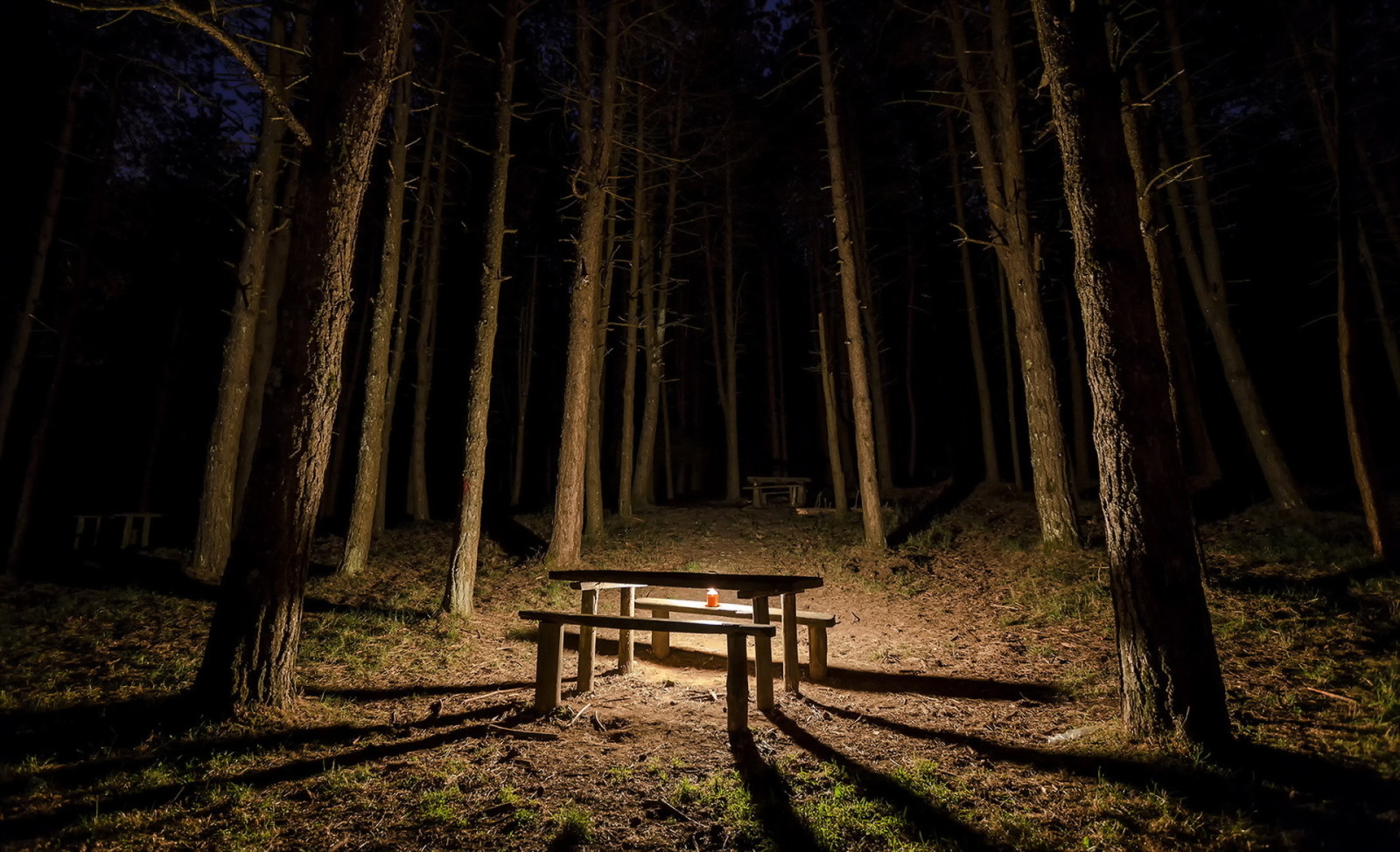 forest, table, night, candle, bench