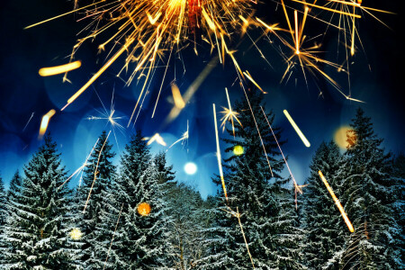 fireworks, forest, glare, holiday, lights, New Year, night, salute