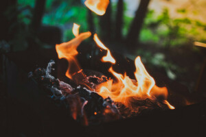 cărbune, foc, kebab, macro, focul