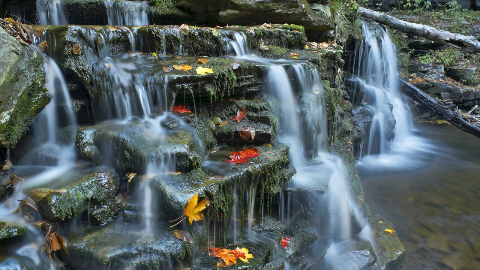 outono, rio, pedras, folhas, corrente, cascata