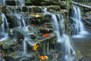 herfst, cascade, bladeren, rivier-, stenen, stroom