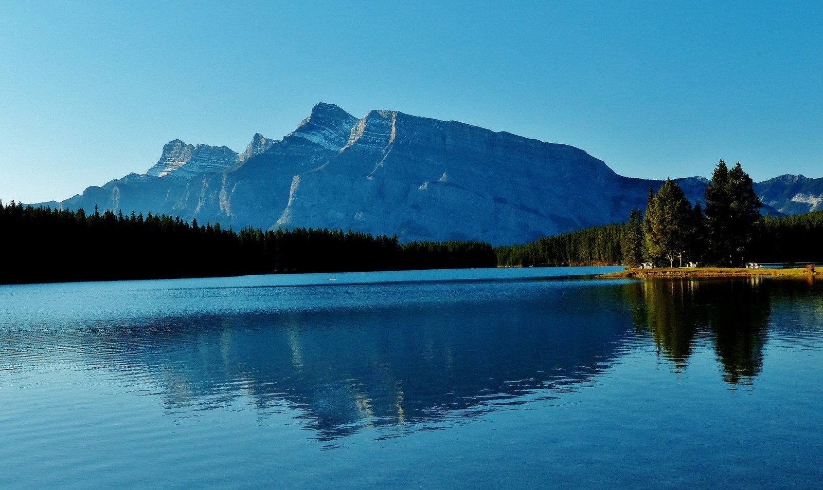 Skov, sø, Canada, Albert, bjerge, Banff Nationalpark, To Jack Lake