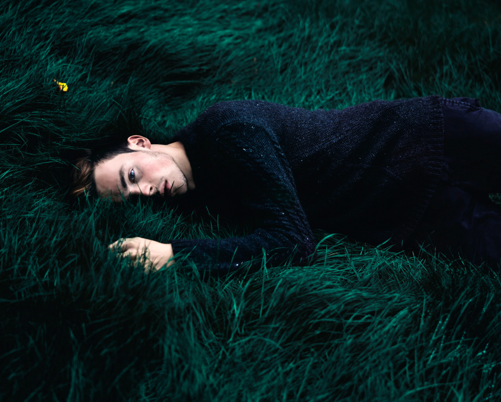 grass, sweater, guy