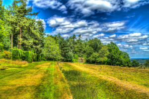 wolken, veld-, de lucht, behandeling, bomen, UK, Wales