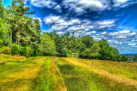 clouds, field, the sky, treatment, trees, UK, Wales