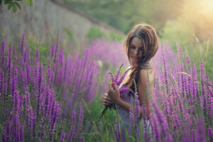 flowers, meadow, mood