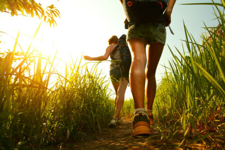 rugzakken, excursie, natuur, buitenshuis, wandelen