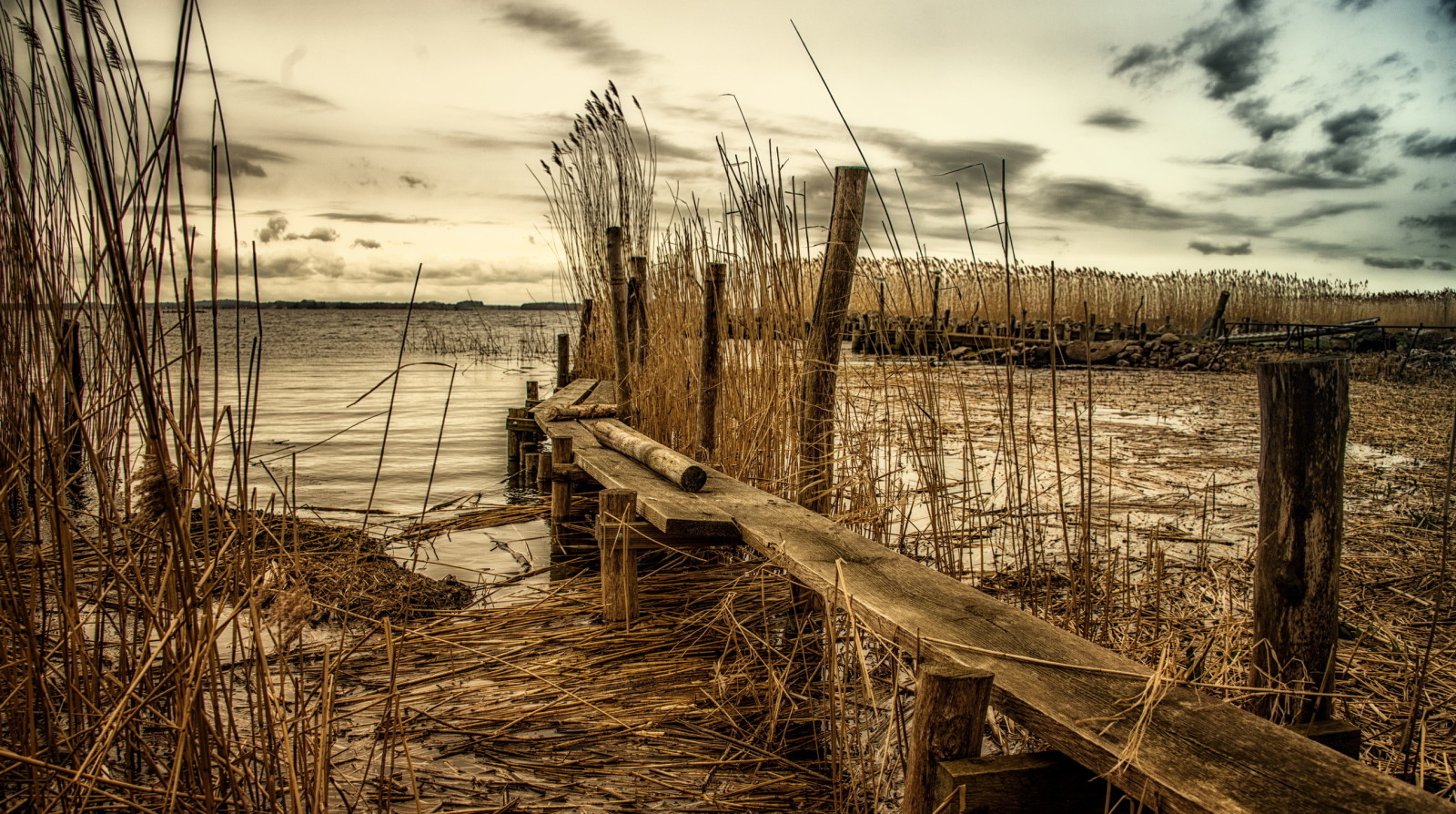 río, paisaje, Junco, Puente