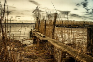 Bridge, landscape, reed, river