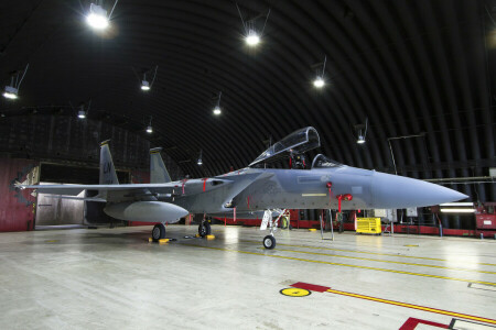 "Vultur", Vultur, F-15D, Luptător, hangar