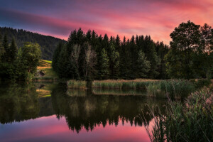 pădure, casă, lac, apus de soare