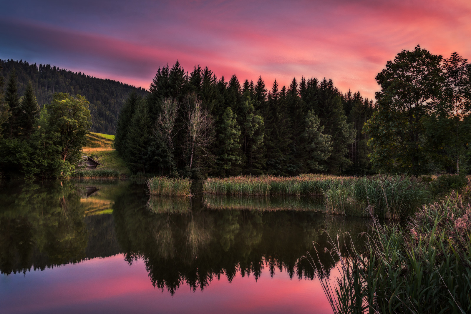 skog, hus, innsjø, solnedgang