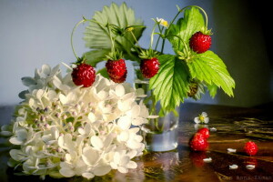 antecedentes, bayas, flores