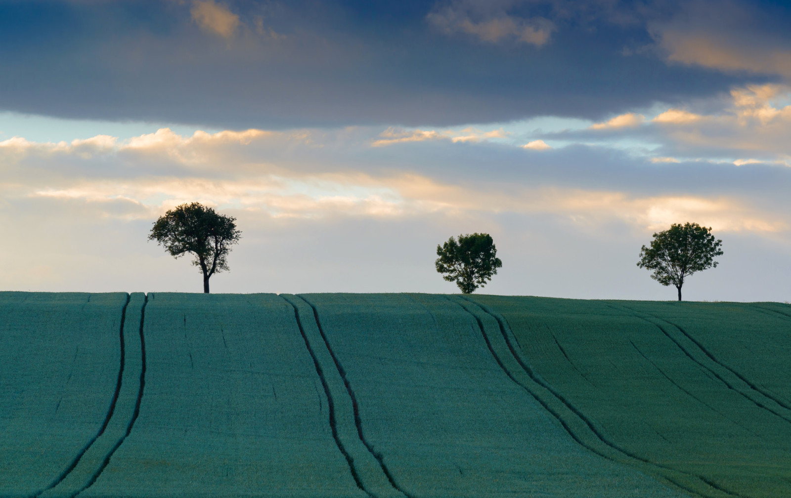 el cielo, arboles, campo, nubes, colinas