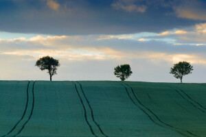 nubes, campo, colinas, el cielo, arboles