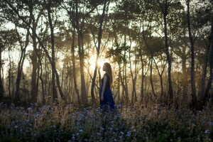 forêt, fille, lumière, Matin