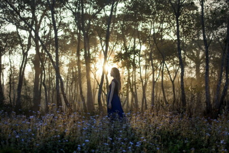 foresta, ragazza, leggero, mattina