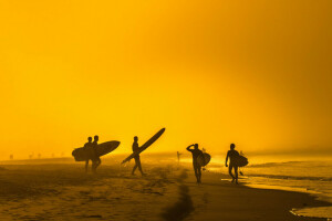 plage, solaire, été, planches de surf, surfeurs, vague