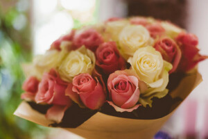 bouquet, fleurs, des roses