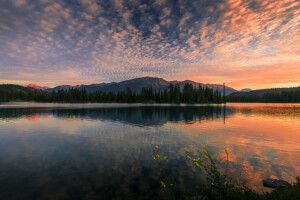 floresta, lago, natureza, reflexão, pôr do sol