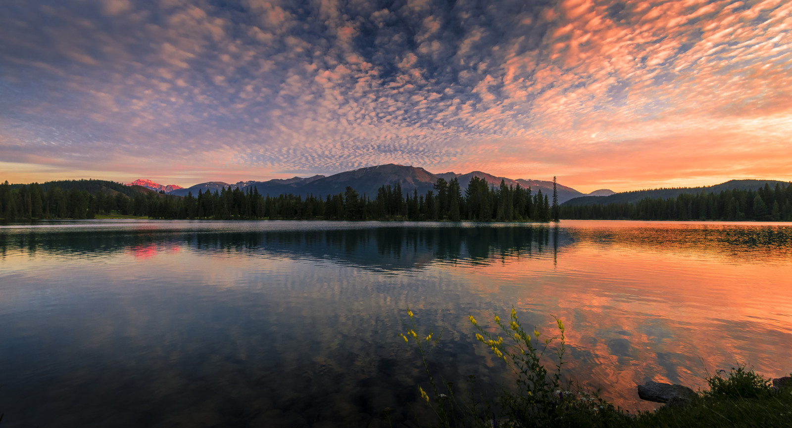 foresta, natura, lago, tramonto, riflessione