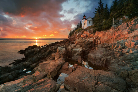 Havn, Fyrtårn, Maine, Nationalpark, klipper, solnedgang, aftenen, USA