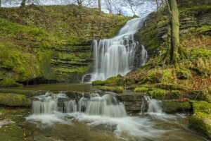 autunno, cascata, Inghilterra, Yorkshire del nord, Forceber di Scaleber, Le vallate dello Yorkshire, cascata