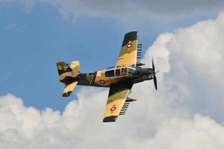 "Skyraider", A-1E, Támadás, Skyraider