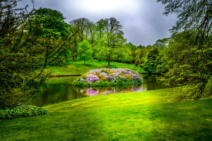 Angleterre, fleurs, herbe, légumes verts, île, parc, étang, des arbres