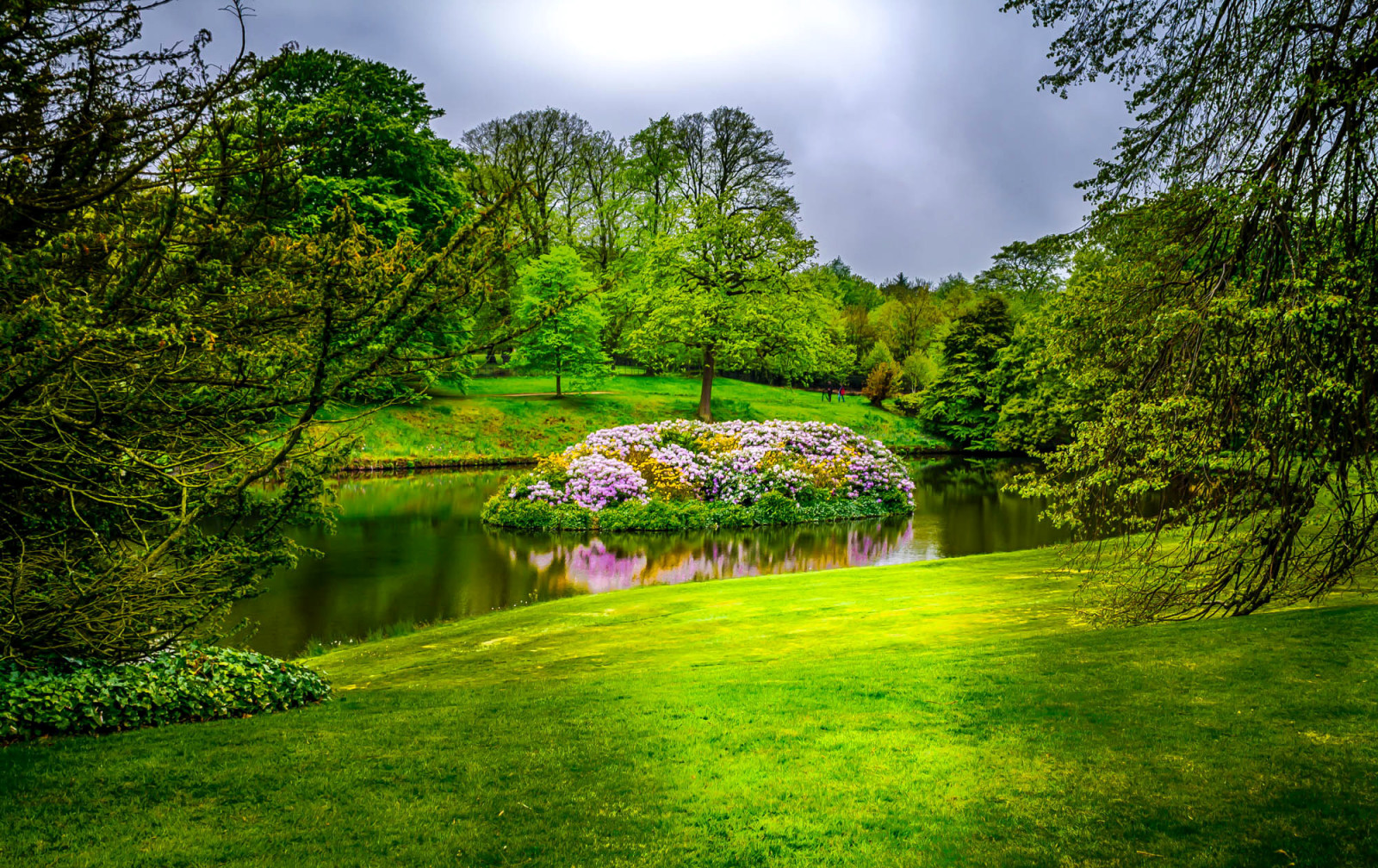 grass, Park, trees, island, greens, flowers, England, pond