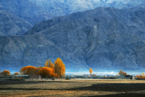 otoño, montañas, Pamir, arboles