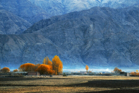 ősz, hegyek, Pamir, fák