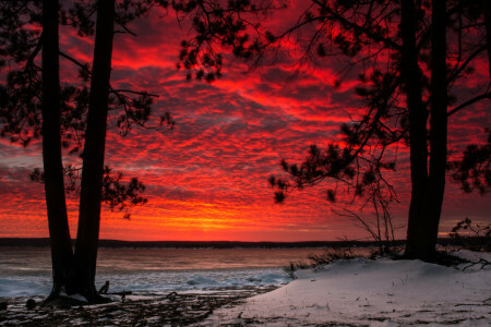 nubes, resplandor, nieve, el cielo, arboles, invierno