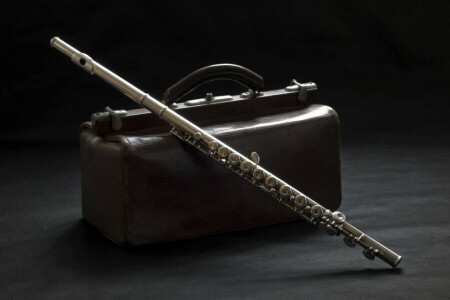 background, flute, suitcase